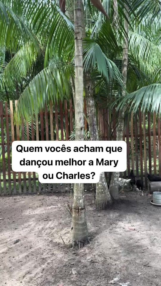 TikTok video thumbnail by charlles.gomes8