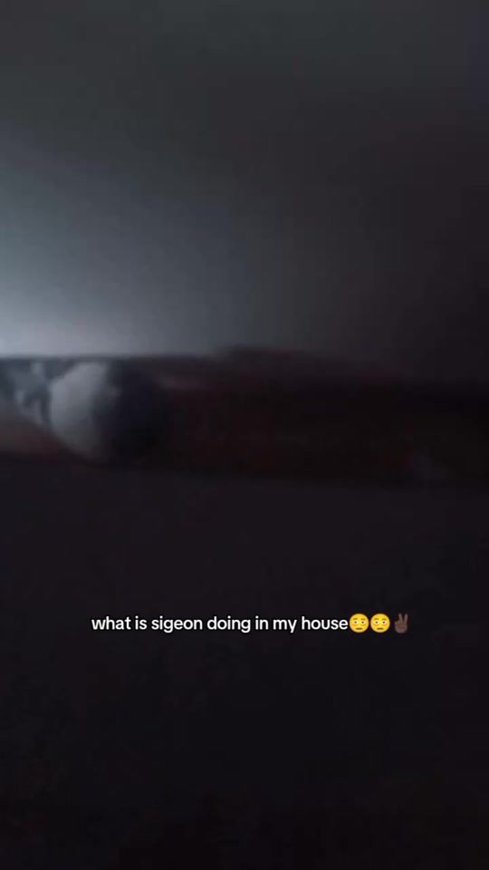 TikTok video thumbnail by makedonec_edits