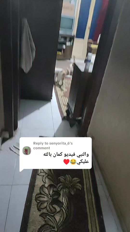 TikTok video thumbnail by emanelkady87