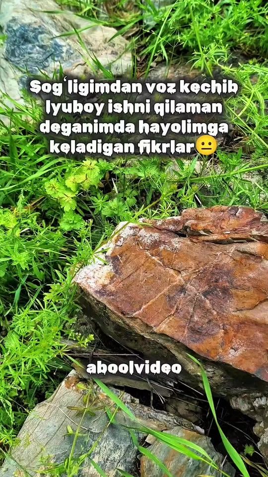 TikTok video thumbnail by aboolvideo
