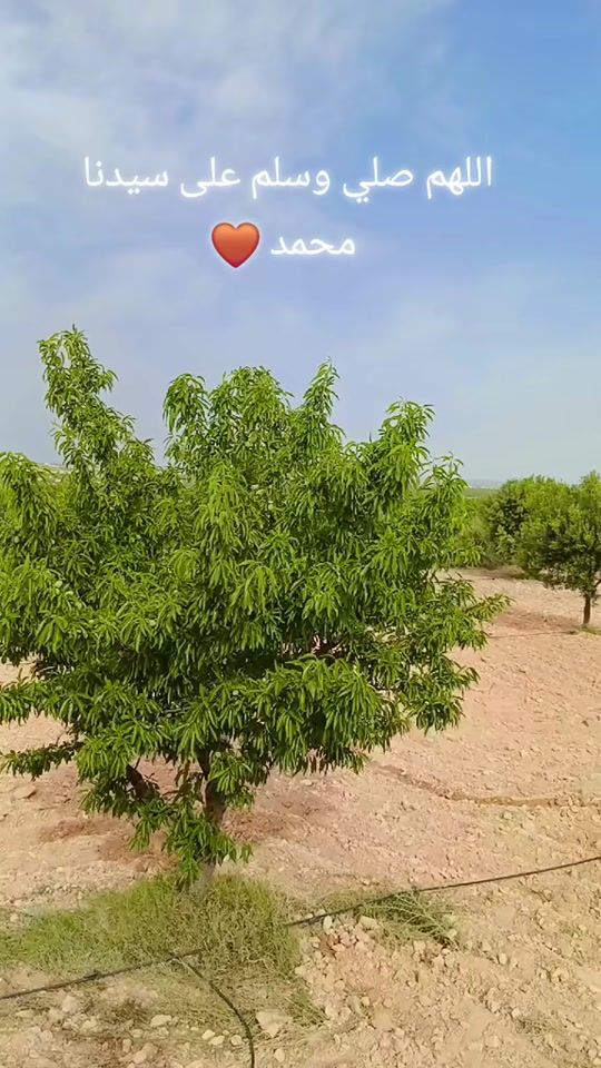 TikTok video thumbnail by chaima.issa1