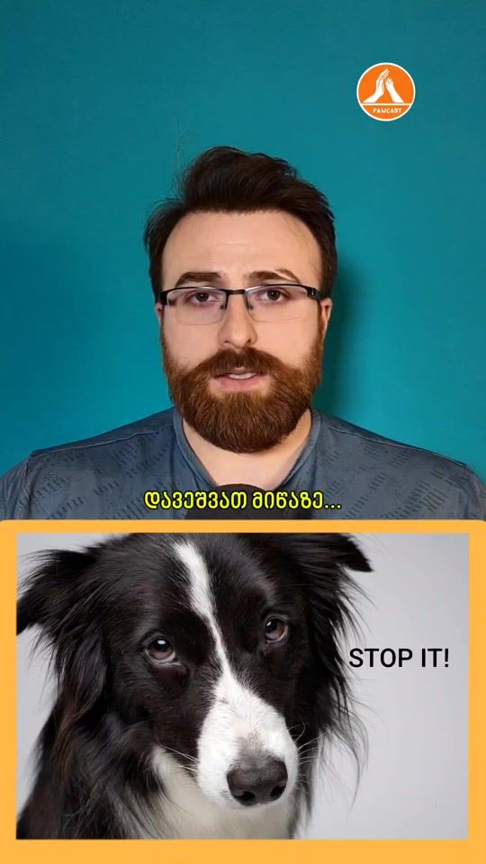 TikTok video thumbnail by pawcast_
