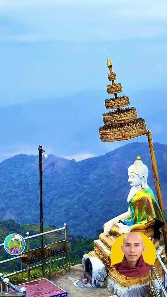 TikTok video thumbnail by dhamma.hline
