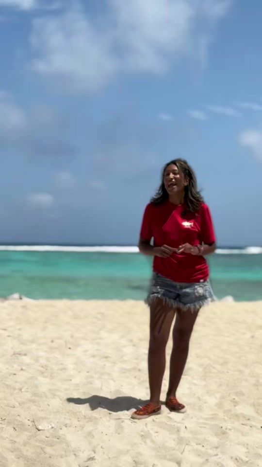 TikTok video thumbnail by kateketours