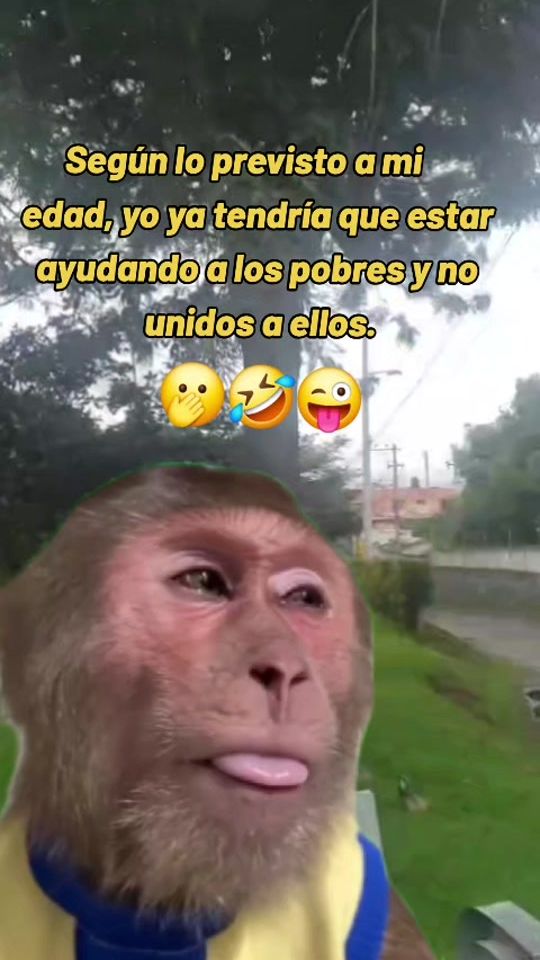 TikTok video thumbnail by mariche42