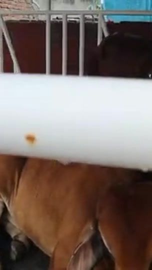 TikTok video thumbnail by shimul.7777