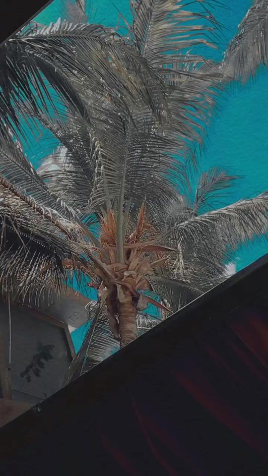 TikTok video thumbnail by jiya__mekaup
