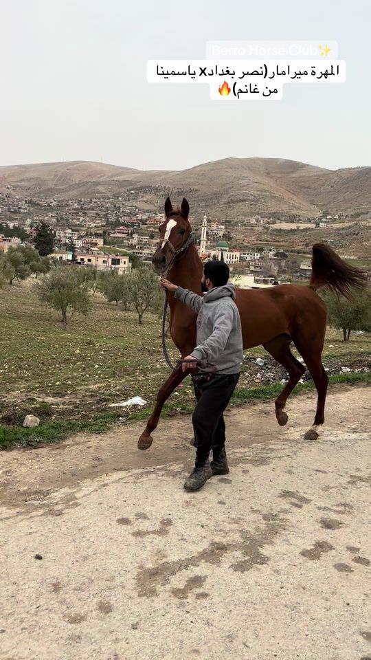 TikTok video thumbnail by mohammadberro21