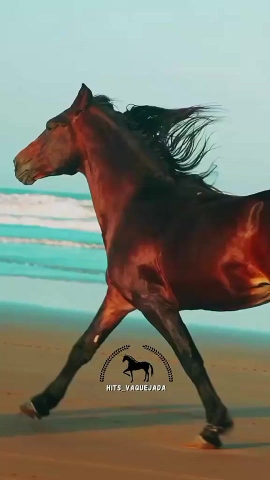 TikTok video thumbnail by use77664456678