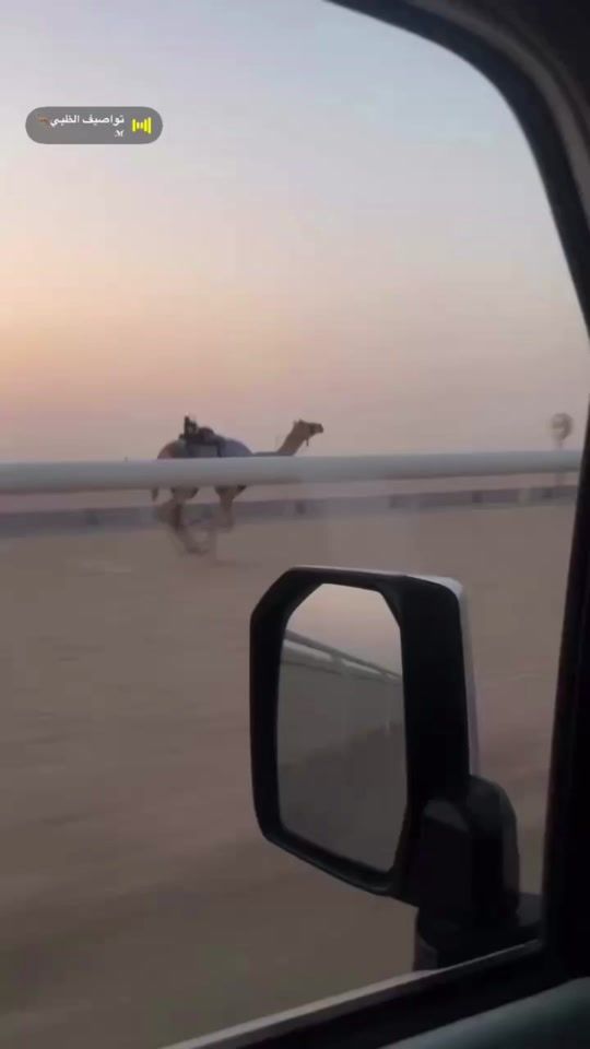 TikTok video thumbnail by aa54177