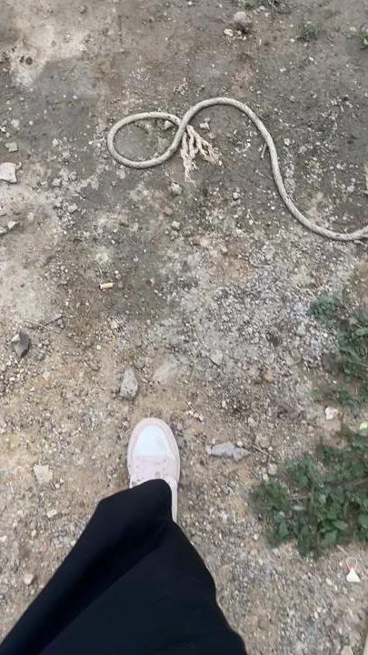 TikTok video thumbnail by .n9340