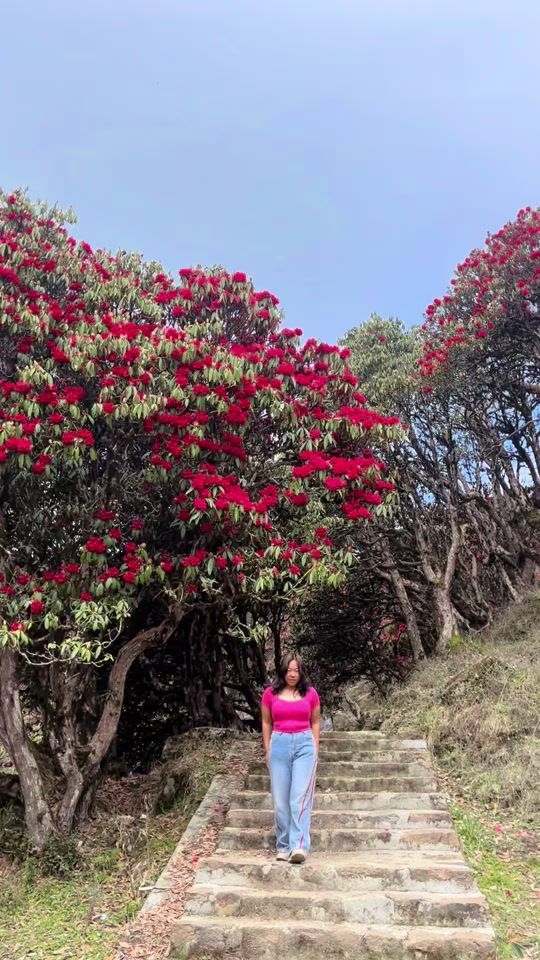 TikTok video thumbnail by mamatarai771