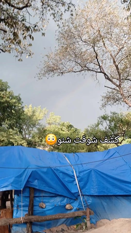 TikTok video thumbnail by .51527798