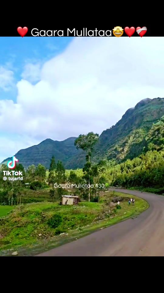 TikTok video thumbnail by jafarano2029
