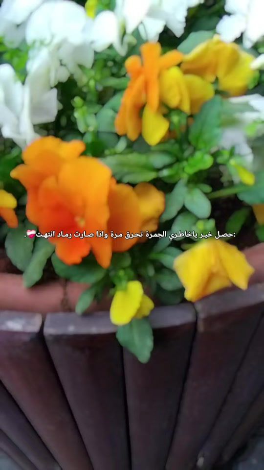TikTok video thumbnail by h______g___