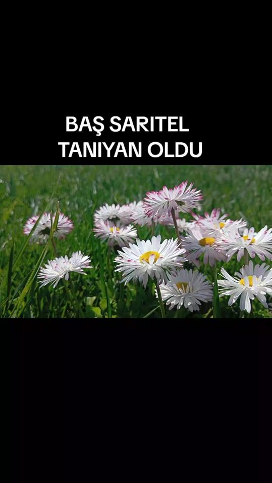 TikTok video thumbnail by gedebeyeseyahet