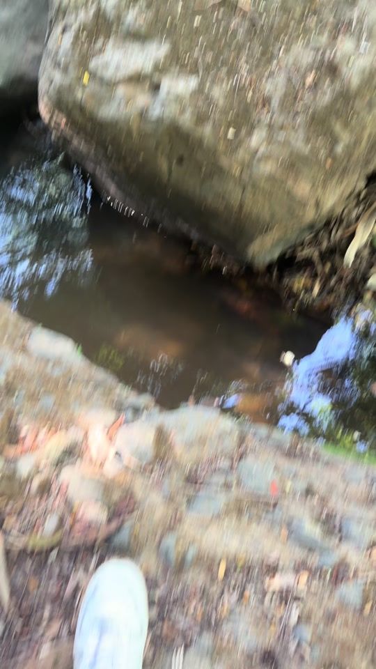 TikTok video thumbnail by elchelesv5003
