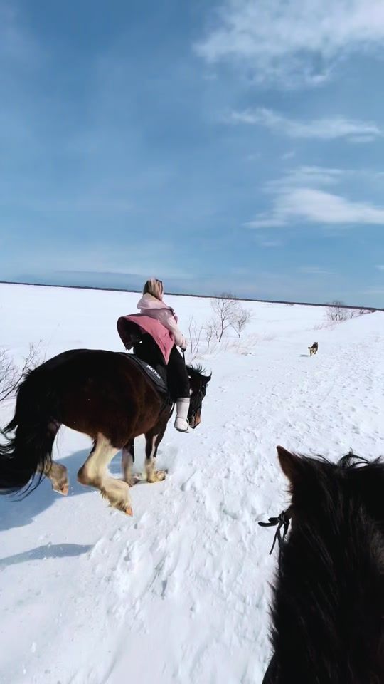 TikTok video thumbnail by _ekaterina_shmidt_