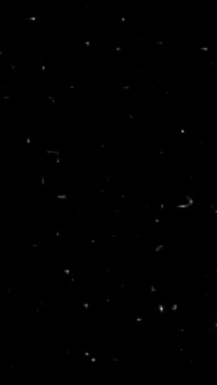 TikTok video thumbnail by islamc640