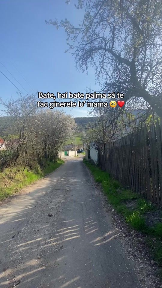 TikTok video thumbnail by maria___._.1010