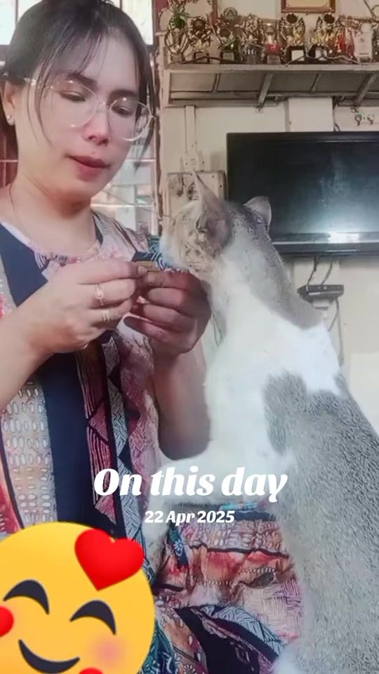 TikTok video thumbnail by userchew01