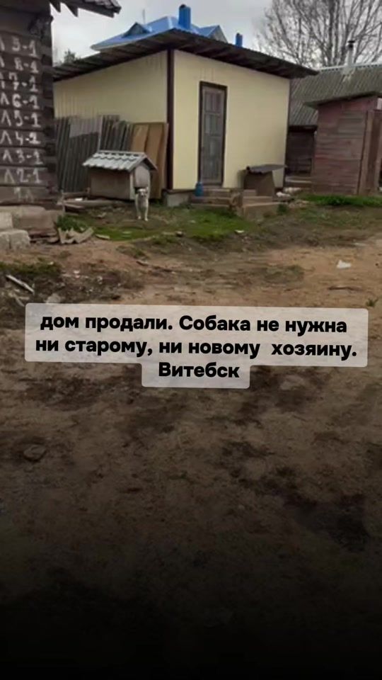 TikTok video thumbnail by bim_vitebsk