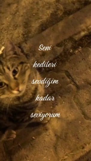 TikTok video thumbnail by esmerx82