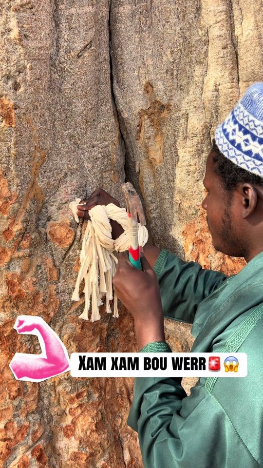 TikTok video thumbnail by scheikhouna1
