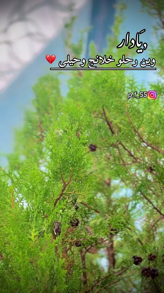 TikTok video thumbnail by a.h_md_