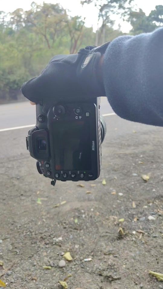 TikTok video thumbnail by elbroo720