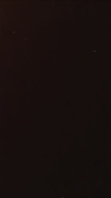 TikTok video thumbnail by _vhnrd