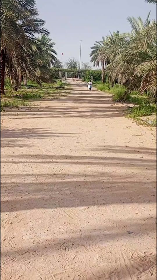 TikTok video thumbnail by muhammadarifalbloshi