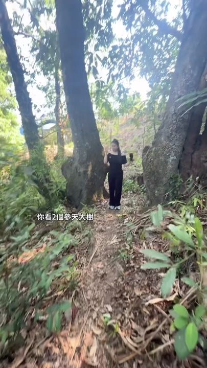 TikTok video thumbnail by money__5288