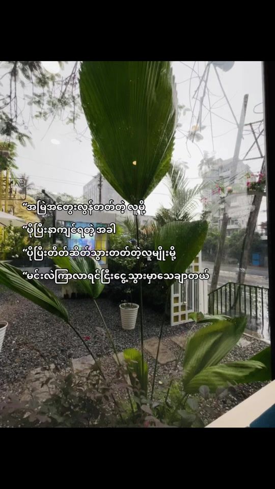 TikTok video thumbnail by nvy532