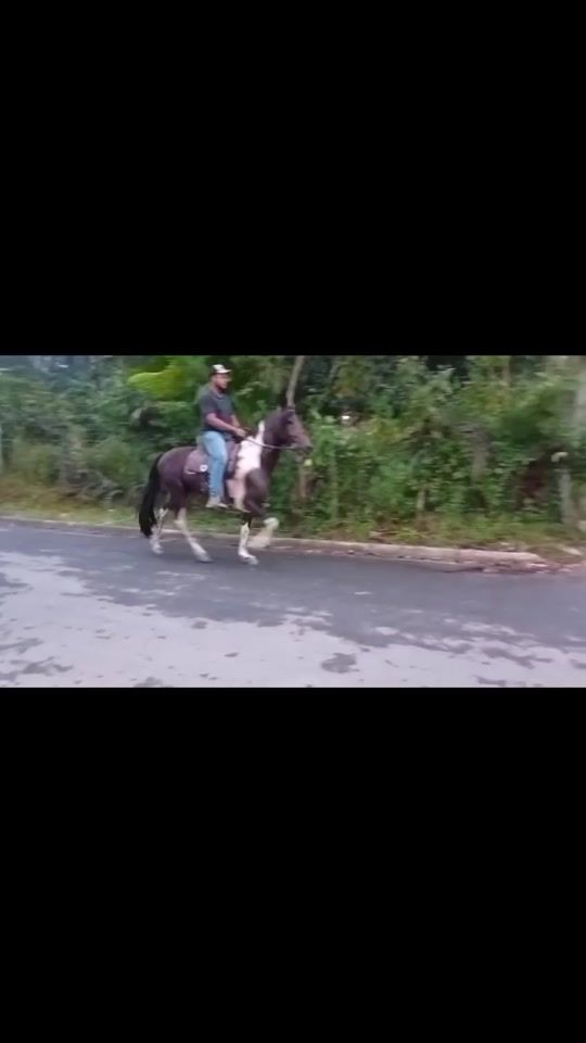 TikTok video thumbnail by robertacarmo13