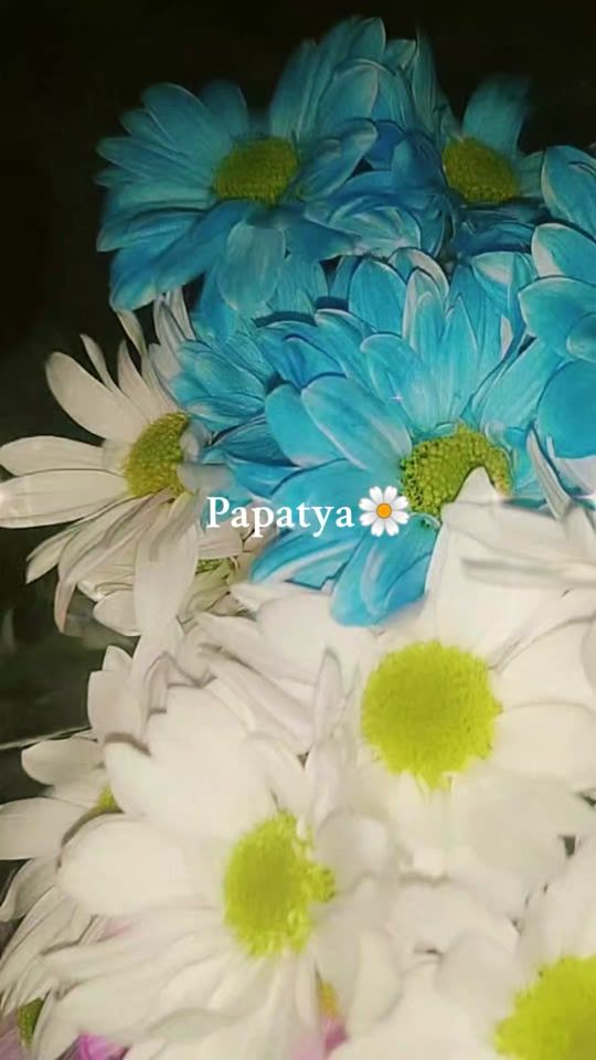 TikTok video thumbnail by nazaa_256