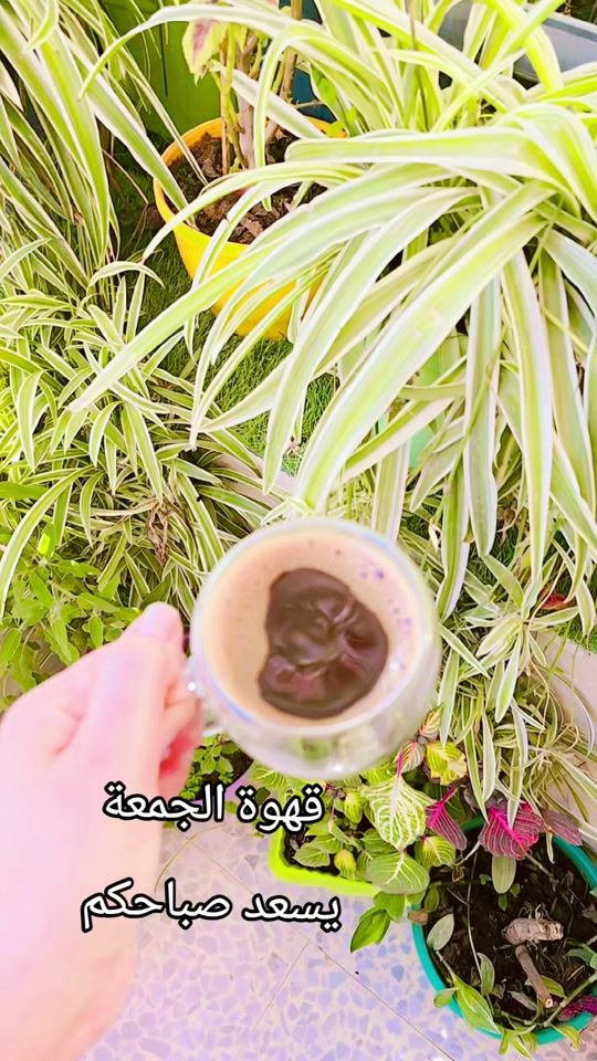 TikTok video thumbnail by bayan.abuhamdeh