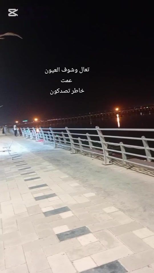 TikTok video thumbnail by mlakm43