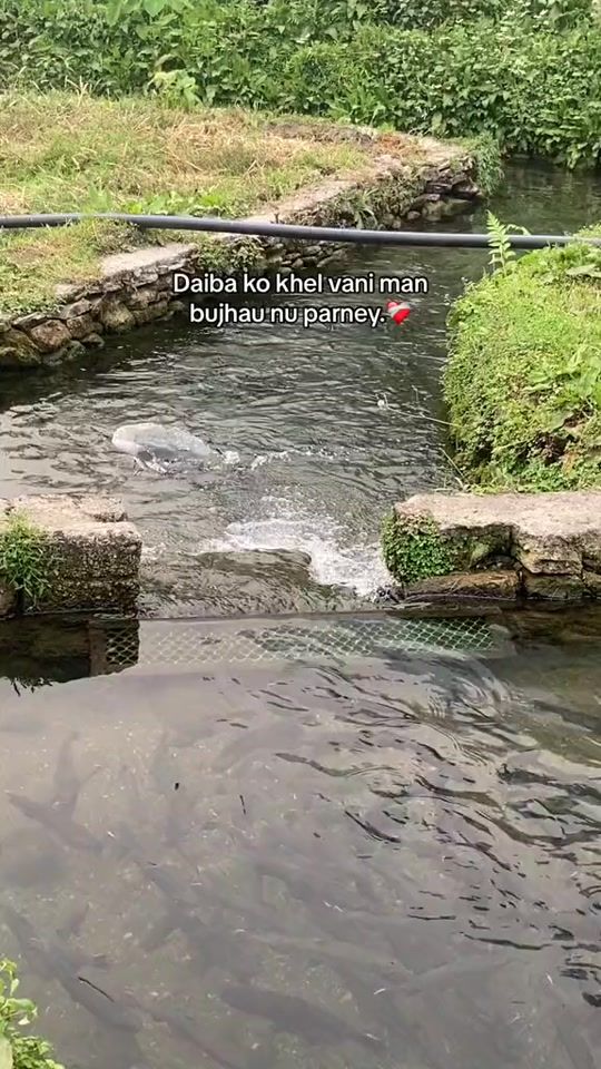 TikTok video thumbnail by shristii_01