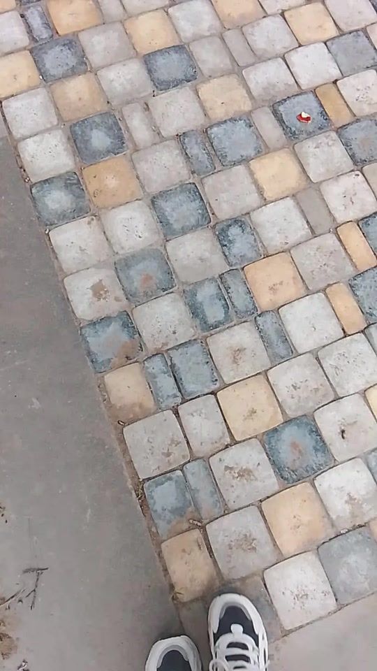 TikTok video thumbnail by user7460166972605