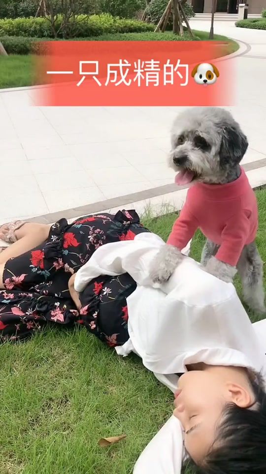 TikTok video thumbnail by susamojfjkc