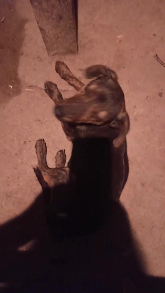 TikTok video thumbnail by yeral.herrera.nica