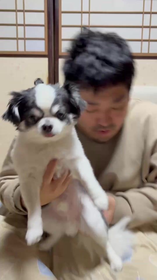 TikTok video thumbnail by natto_gohan