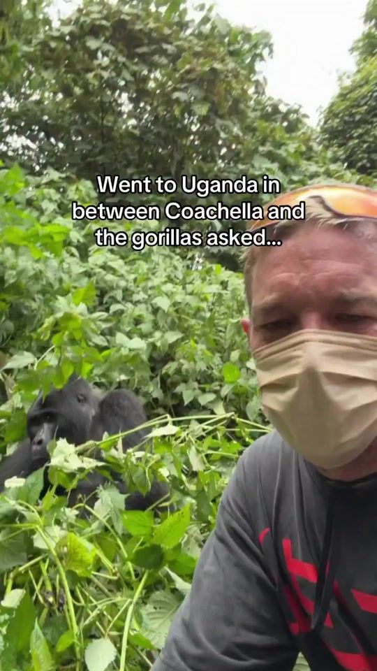 TikTok video thumbnail by exploringafricasafaris