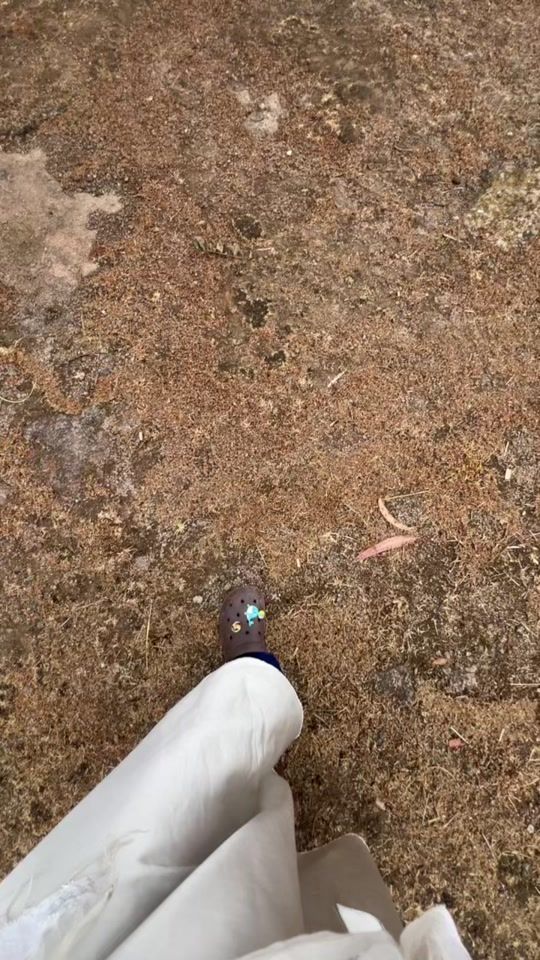 TikTok video thumbnail by samri_yimer