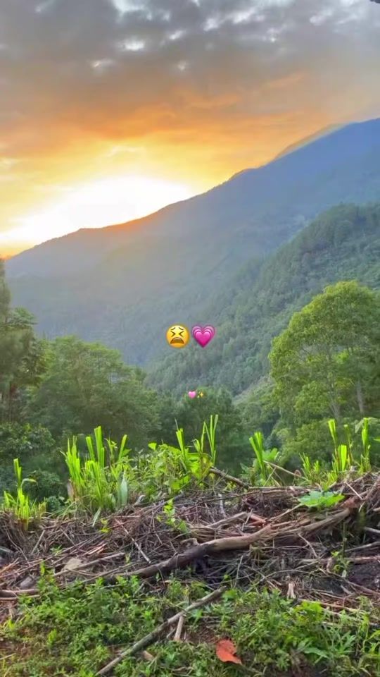 TikTok video thumbnail by acareli273