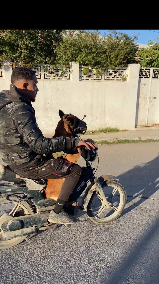TikTok video thumbnail by walid18sam
