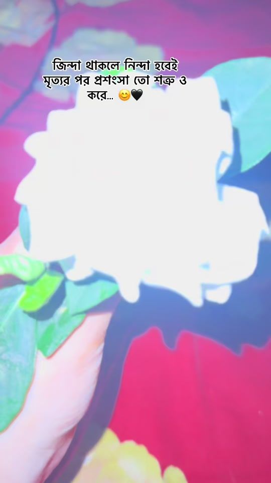 TikTok video thumbnail by t__wafa4