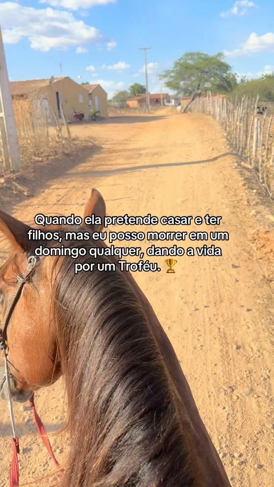 TikTok video thumbnail by guilherme..firmino