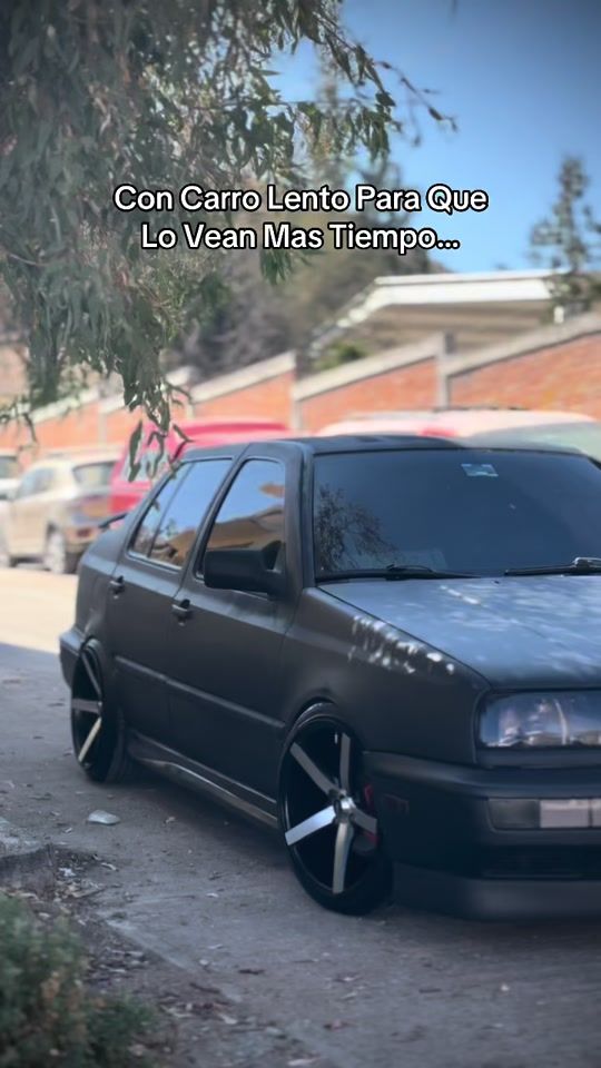TikTok video thumbnail by cachorropadron11